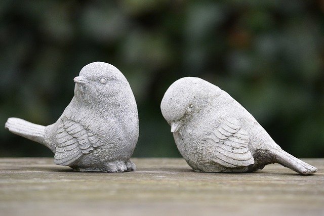 dove